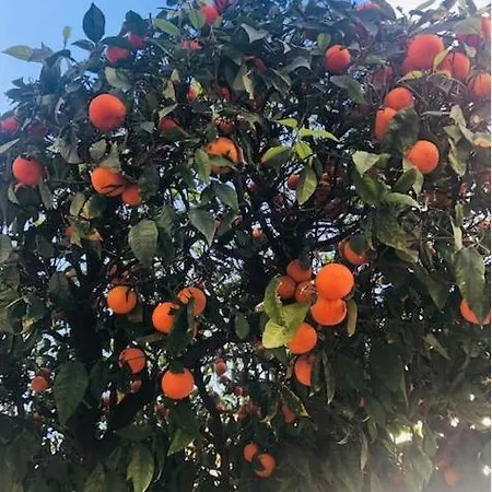 Marbella, Arqueros Golf & Country Club, Sleeps 7 1 Child Apartament Marbella