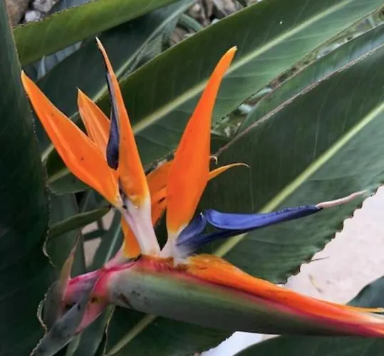 Appartement Marbella, Arqueros Golf&country Club, Sleeps 7 1 Child