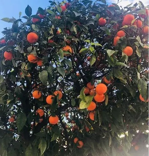 Marbella, Arqueros Golf&country Club, Sleeps 7 1 Child Appartement Marbellac